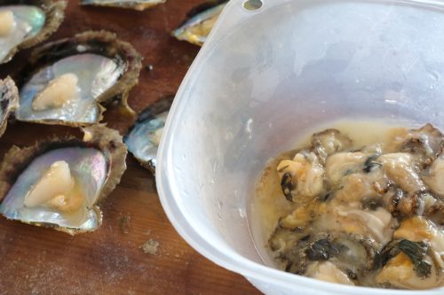 壱岐の真珠養殖 アコヤ貝の身でクラフトビールを作るISLAND BREWERY