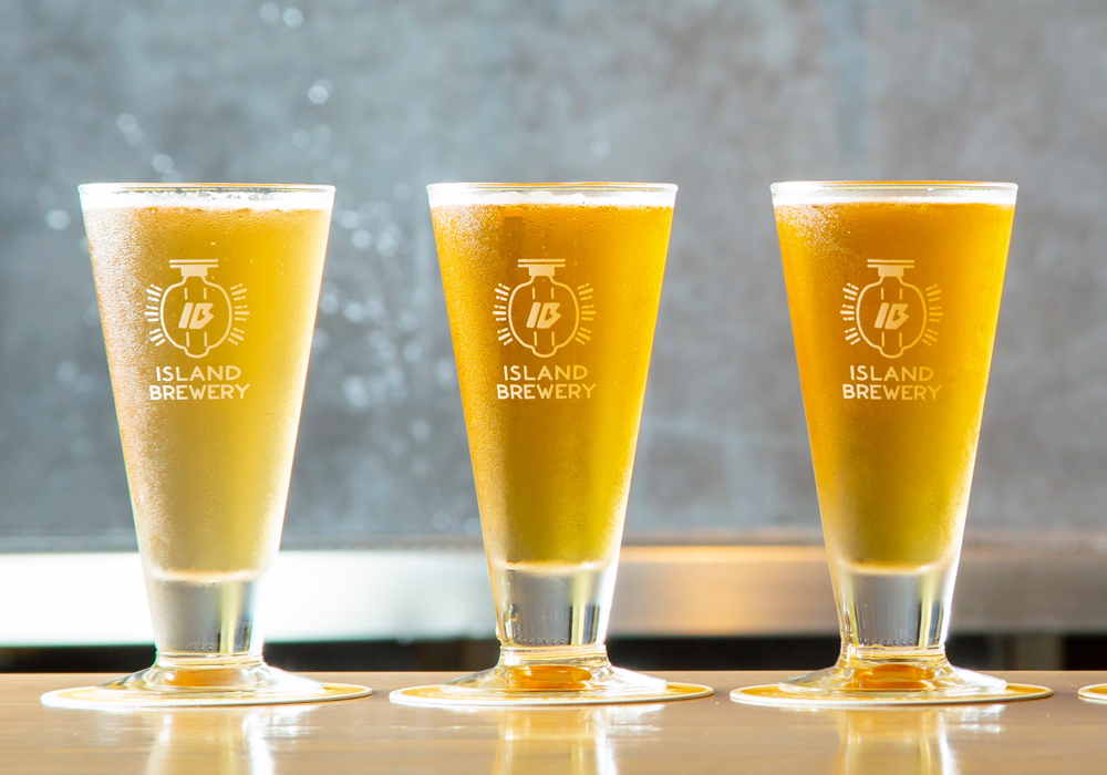 ISLAND BREWERY 壱岐のクラフトビール 飲み比べセット